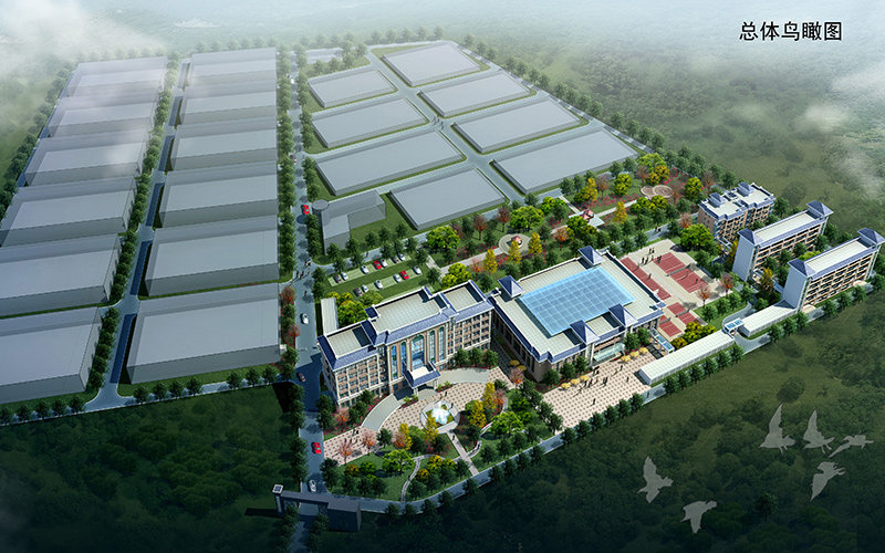 市政道路工程監理工作舉措，都可以從哪些層面分析